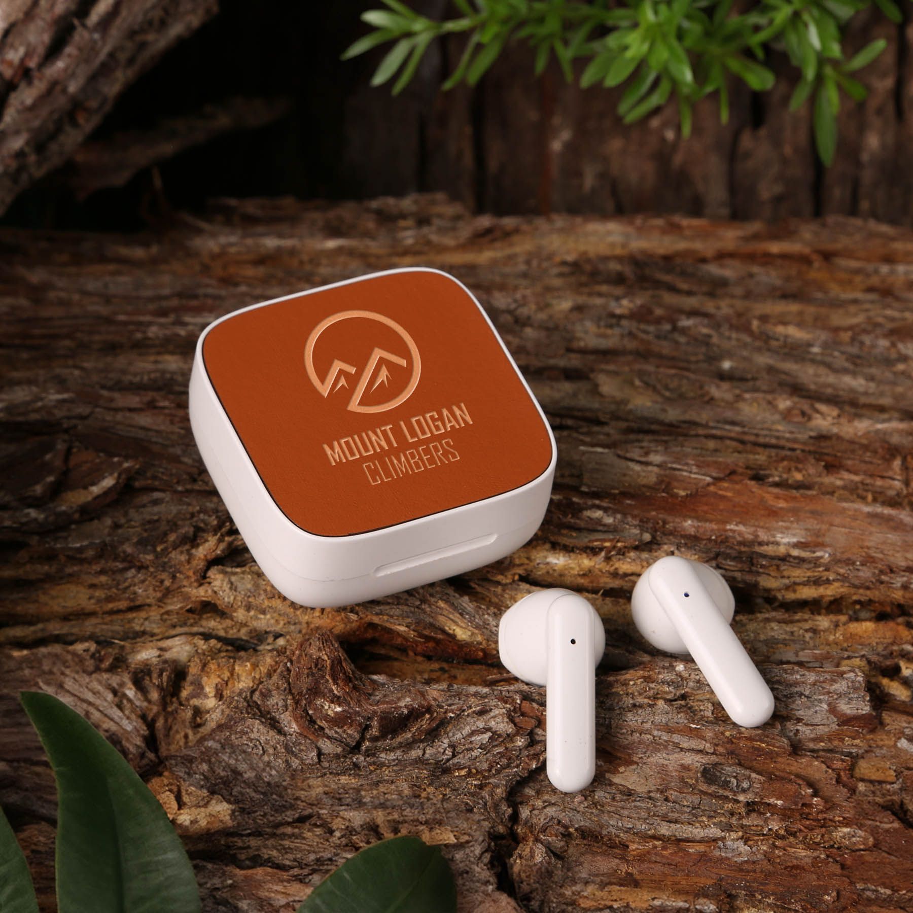 Earbuds 